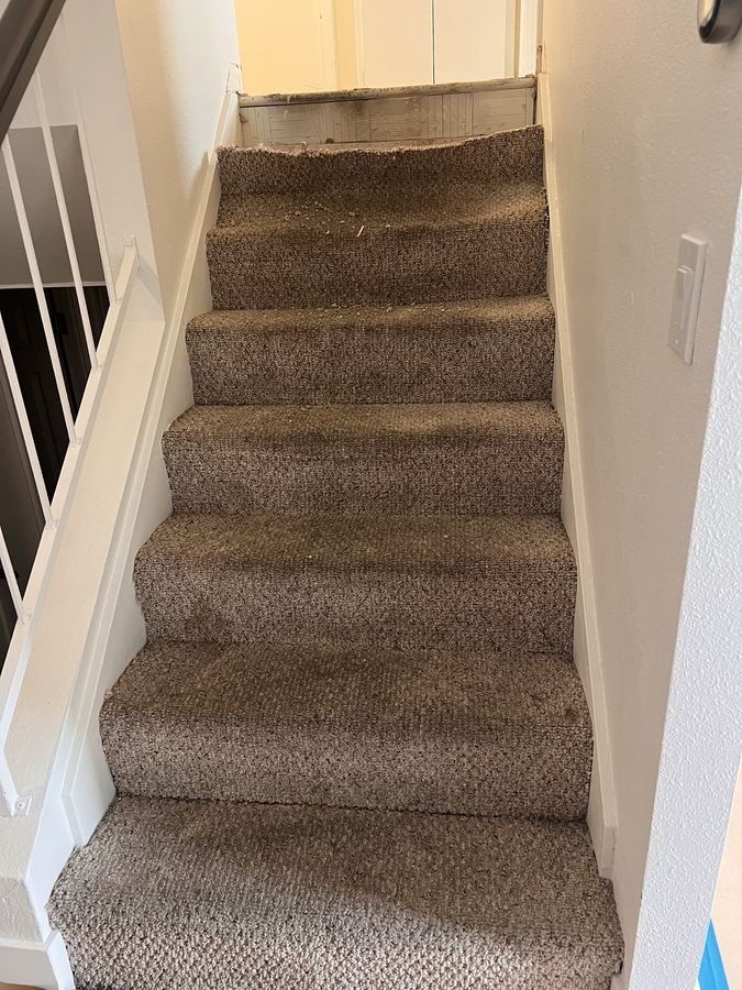 Before: carpeted stairs